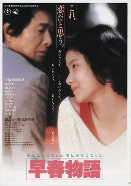 免费在线电影《雾港回声》高清封面